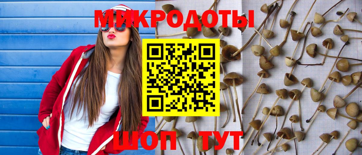 Галлюциногенные грибы ЛСД Казань