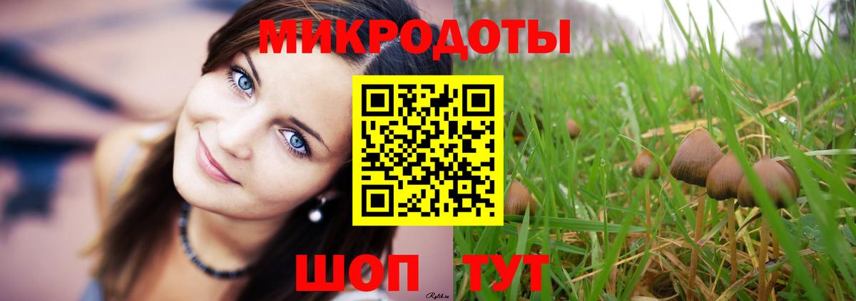 Казань  Псилоцибиновые грибы прущие грибы  Вход с VPN  Галлюциногенные грибы мухоморы 